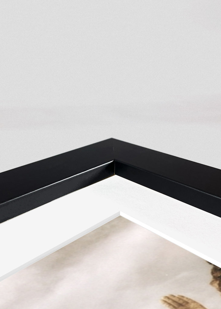 The Fellowship of the Ring