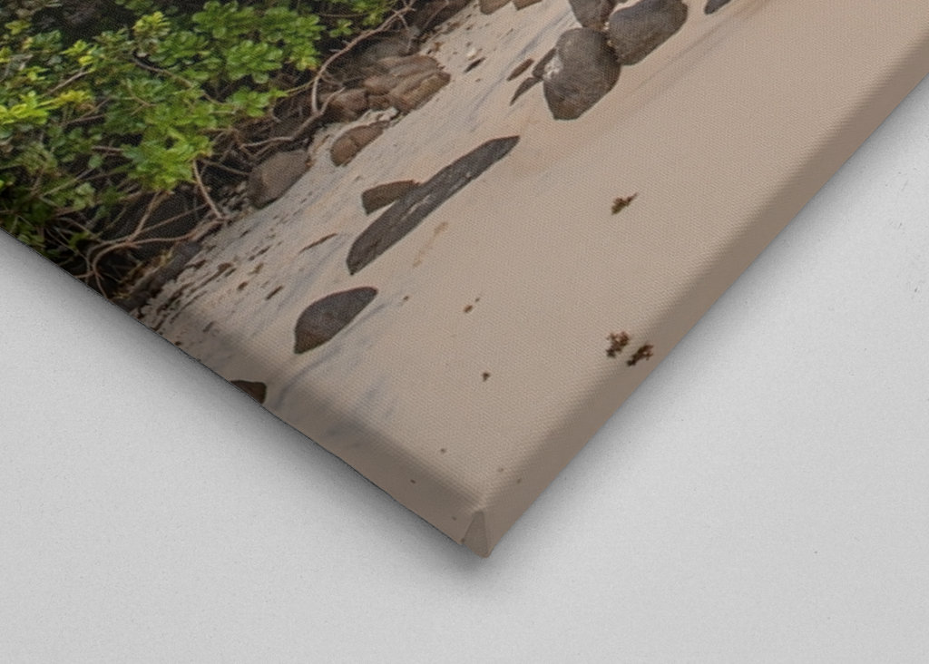 Dream beach in the Seychelles