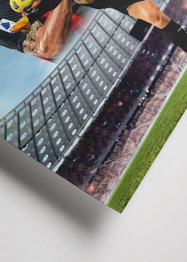 Zlatan Ibrahimovic Potrait