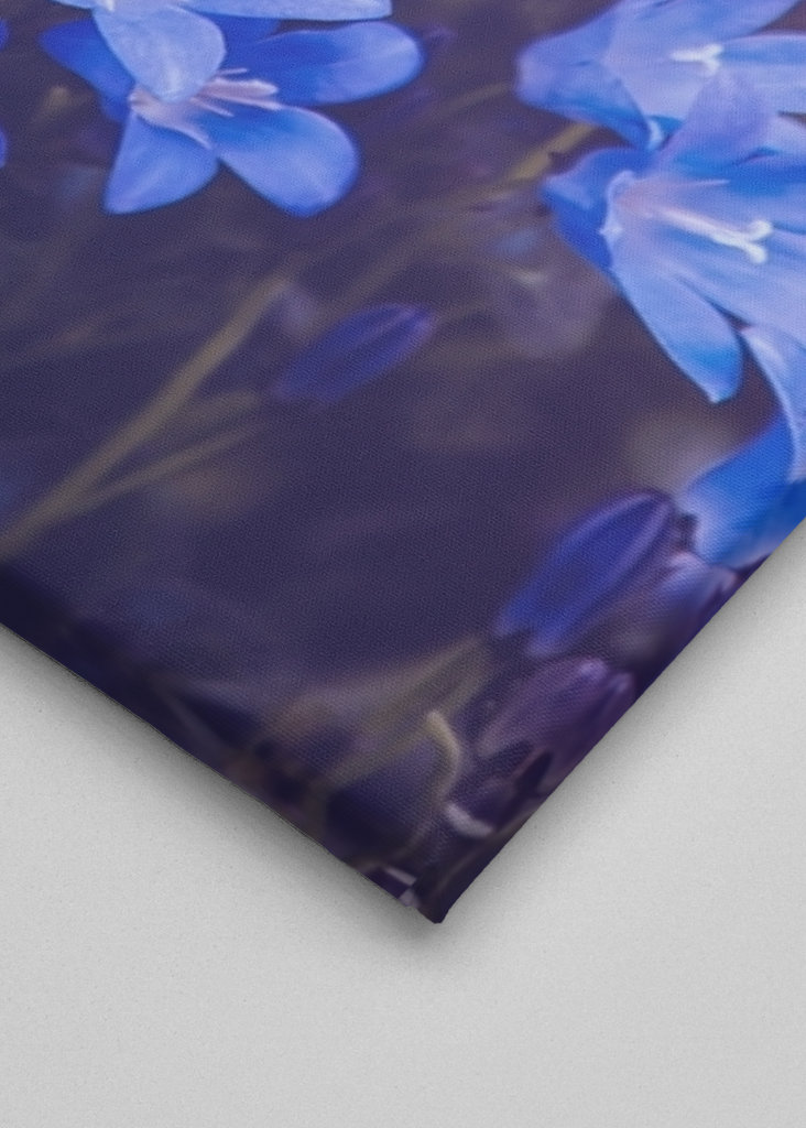 Purple flowering plants