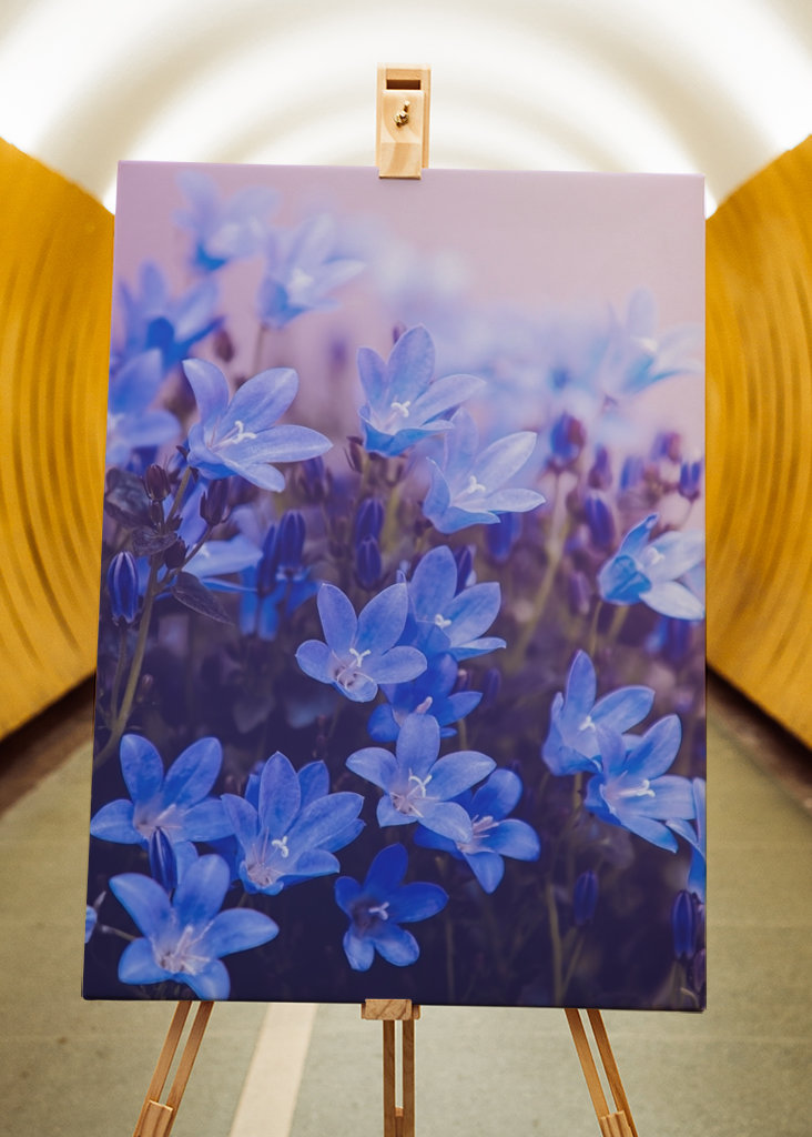 Purple flowering plants