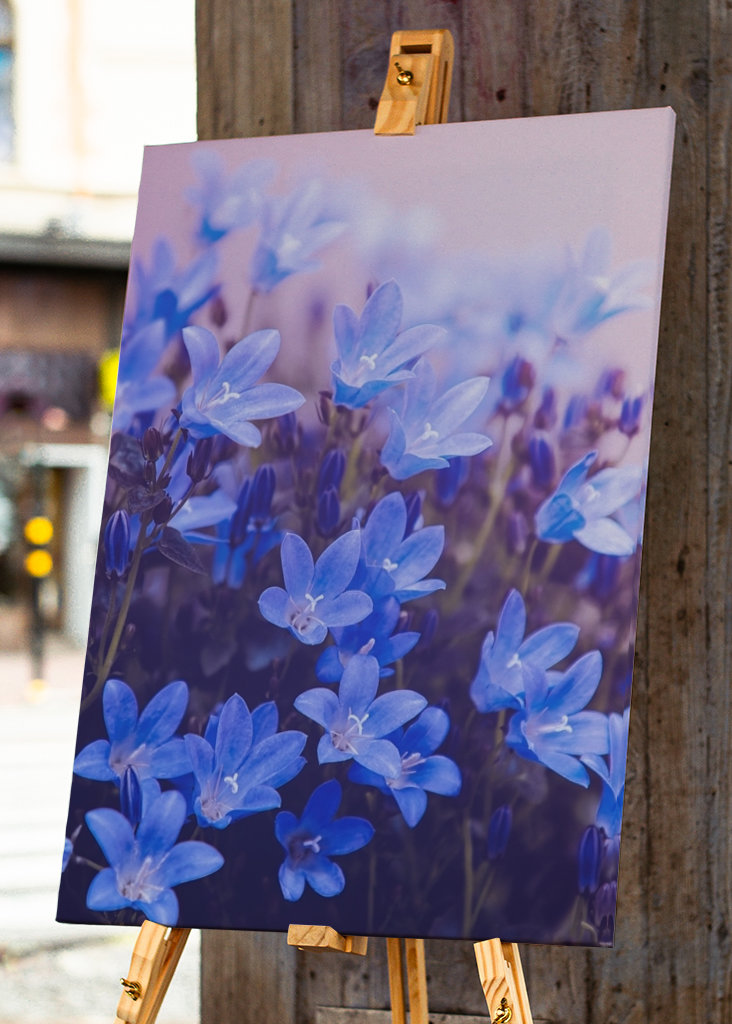 Purple flowering plants