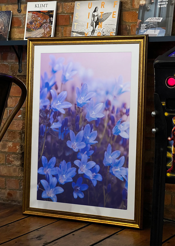 Purple flowering plants
