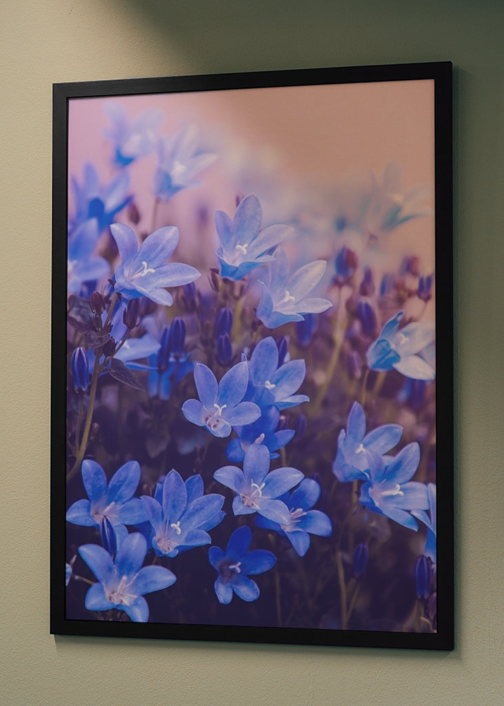 Purple flowering plants