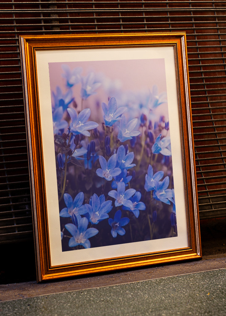 Purple flowering plants