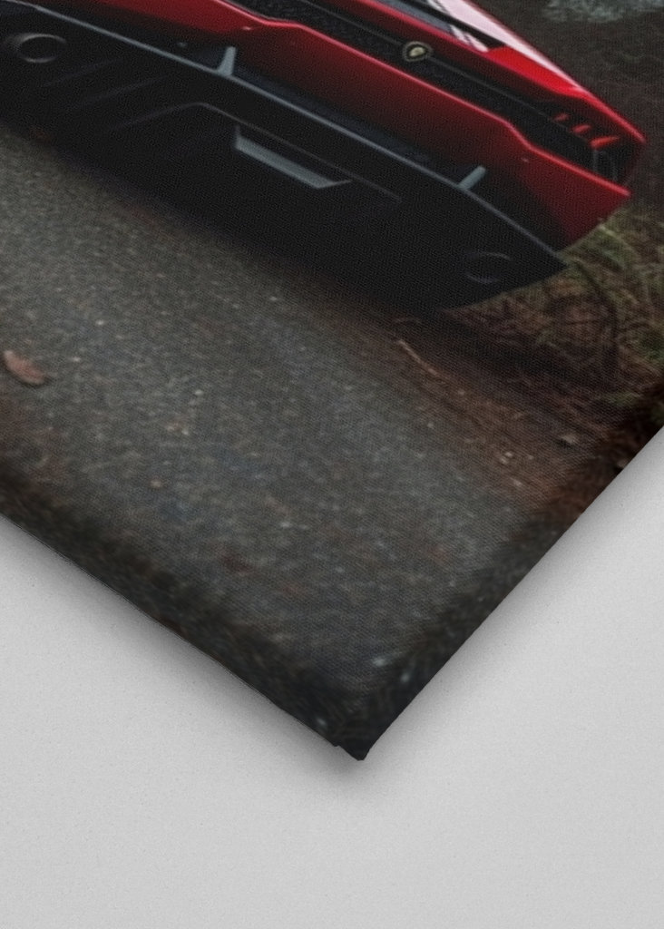 Lamborghini im wald auto