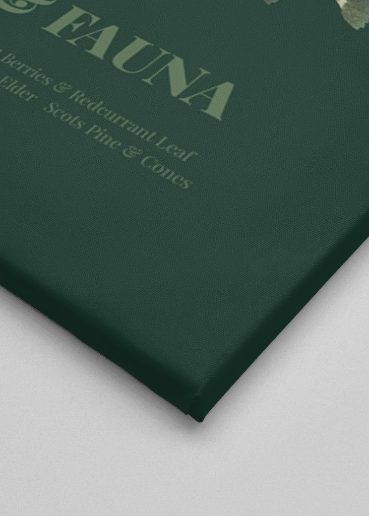 Flora & fauna with Boreal Owl