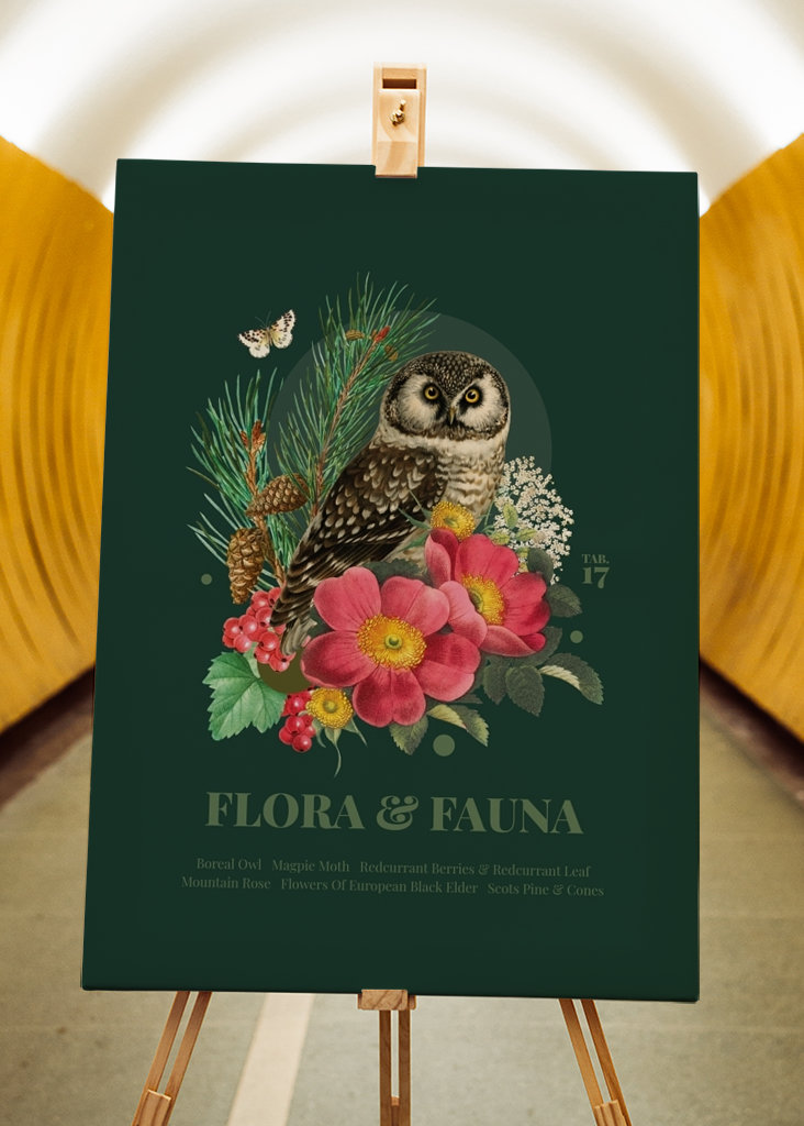 Flora & fauna with Boreal Owl