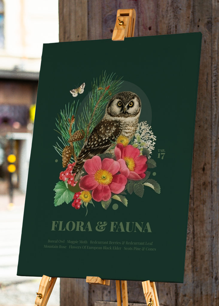 Flora & fauna with Boreal Owl