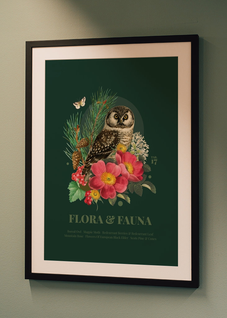 Flora & fauna with Boreal Owl