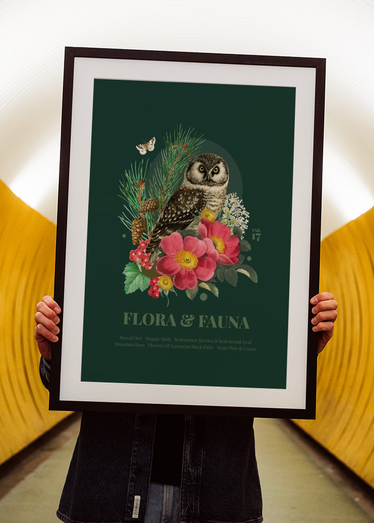 Flora & fauna with Boreal Owl