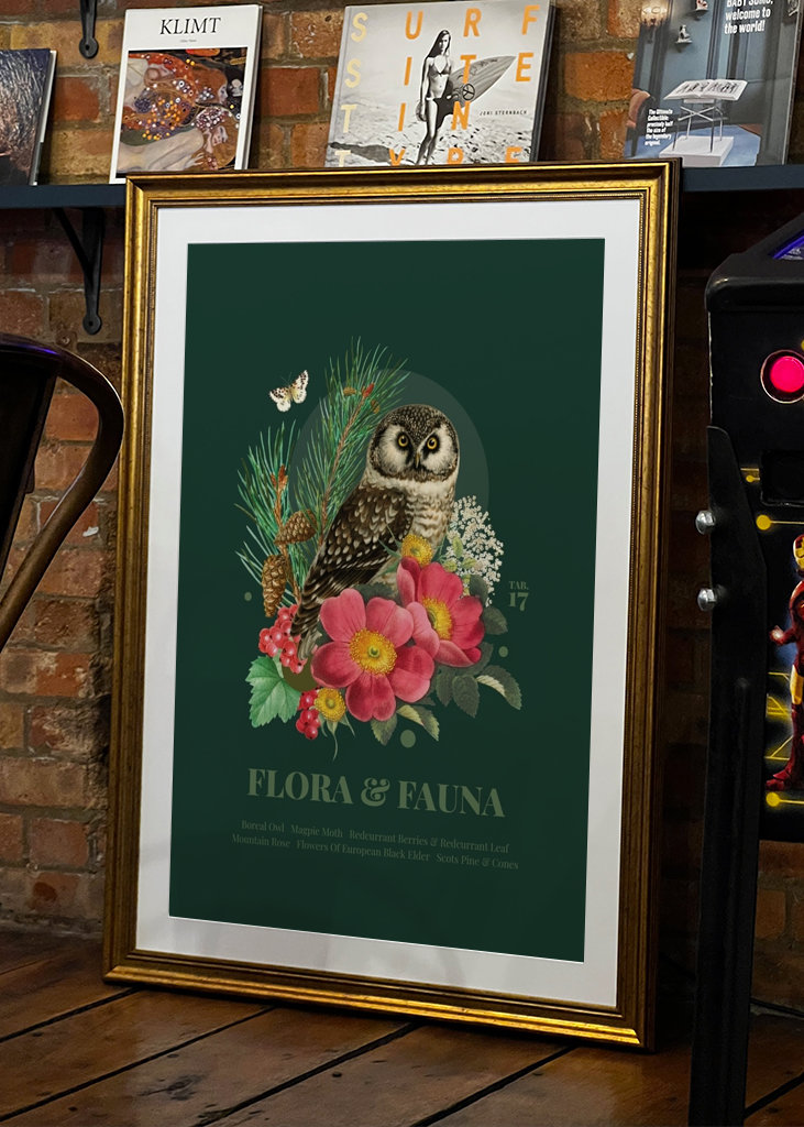 Flora & fauna with Boreal Owl