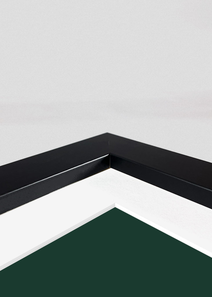 Flora & fauna with Boreal Owl