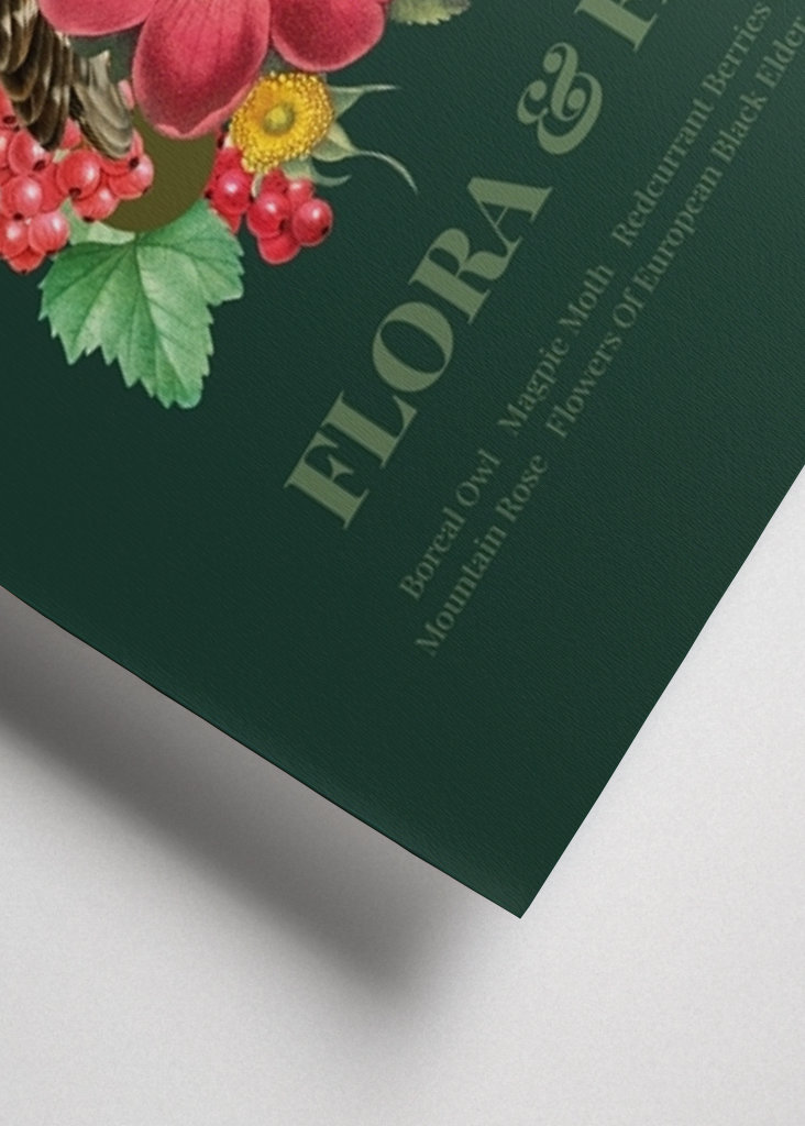 Flora & fauna with Boreal Owl