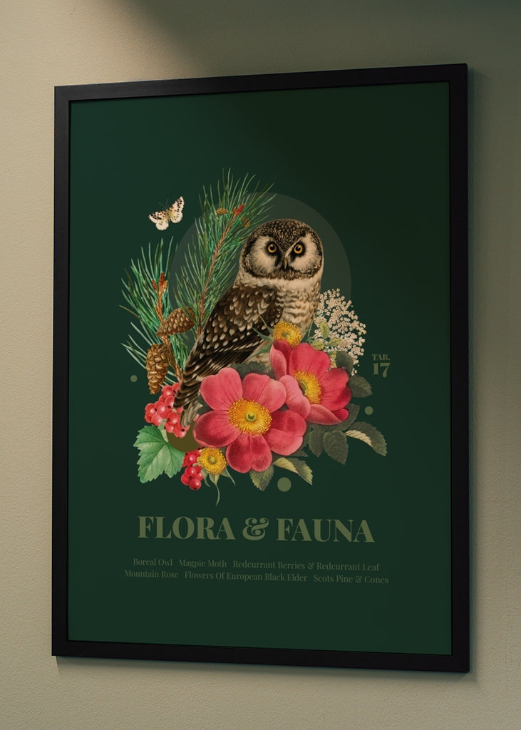 Flora & fauna with Boreal Owl