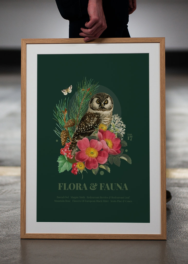 Flora & fauna with Boreal Owl