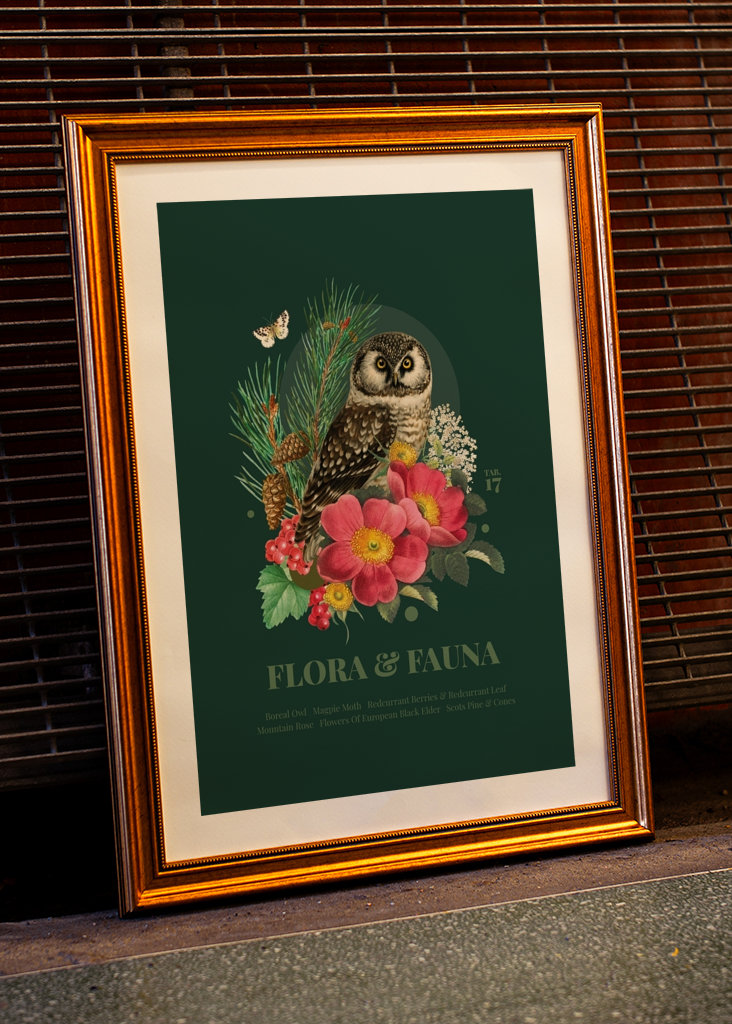 Flora & fauna with Boreal Owl