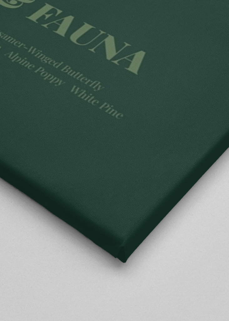 Flora & Fauna med spætmejser