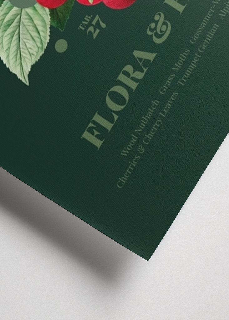 Flora & Fauna med spætmejser