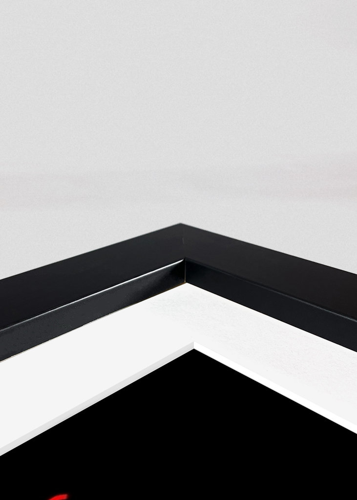 Arnold Schwarzenegger 