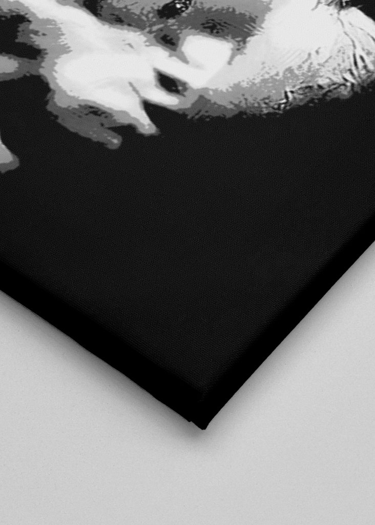 Arnold Schwarzenegger 