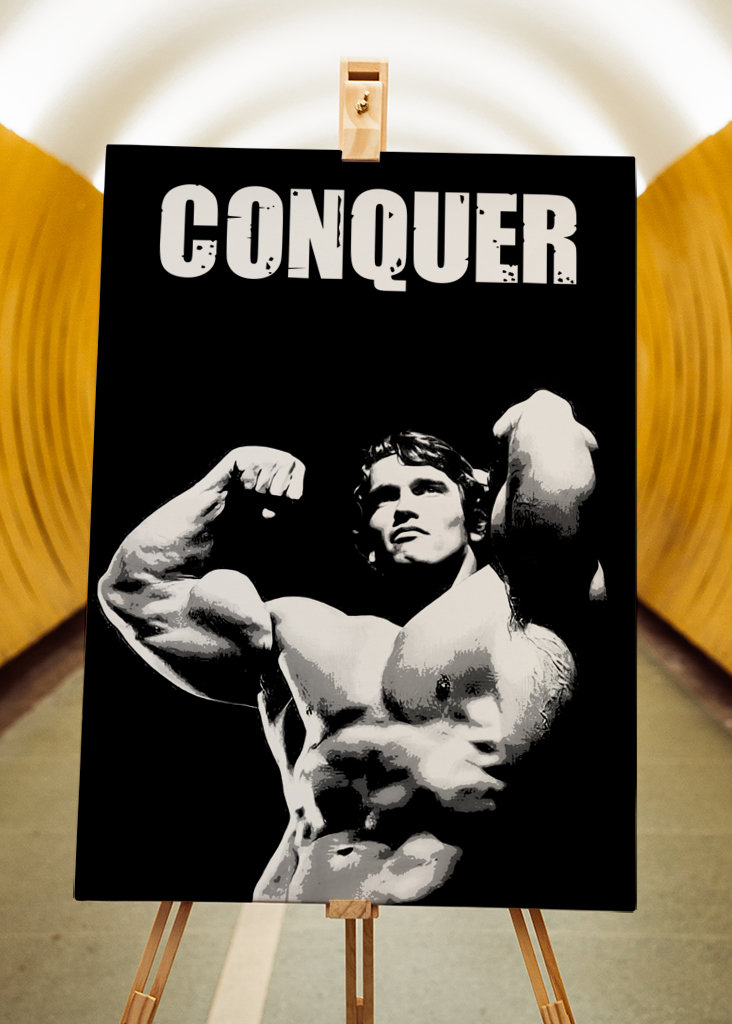 Arnold Schwarzenegger 