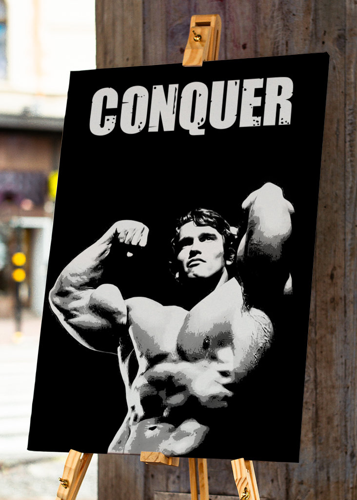 Arnold Schwarzenegger 