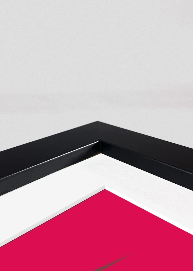 Monica Bellucci filmová herečka 