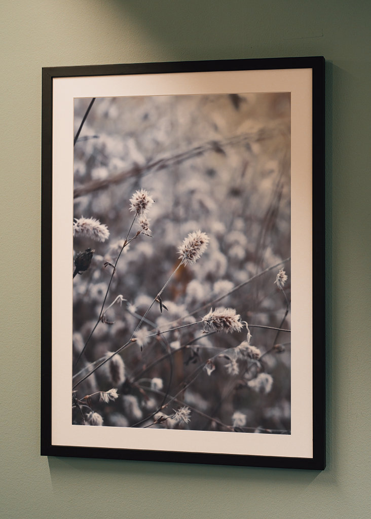 Nahaufnahme Fotografie