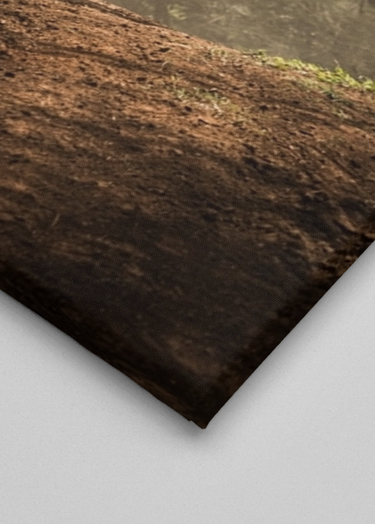 Motocross Dirt Bike Rider