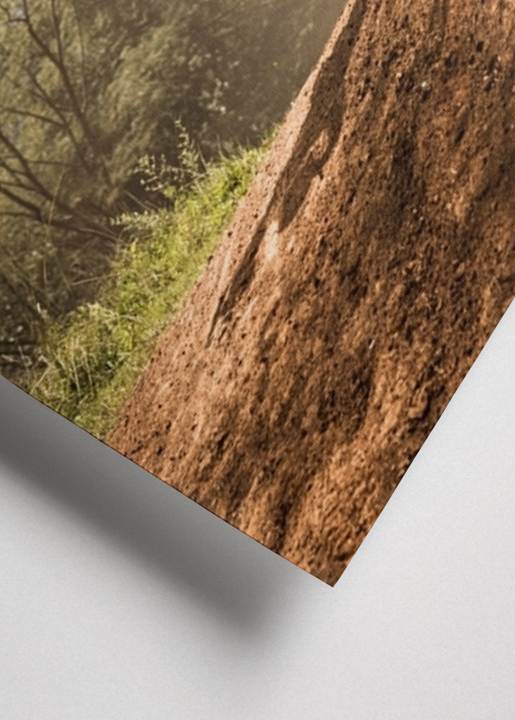 Motocross Dirt Bike Rider