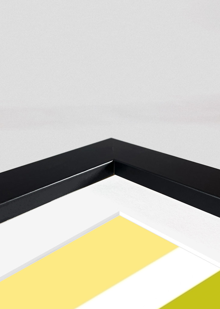 Dejounte Murray Basketball