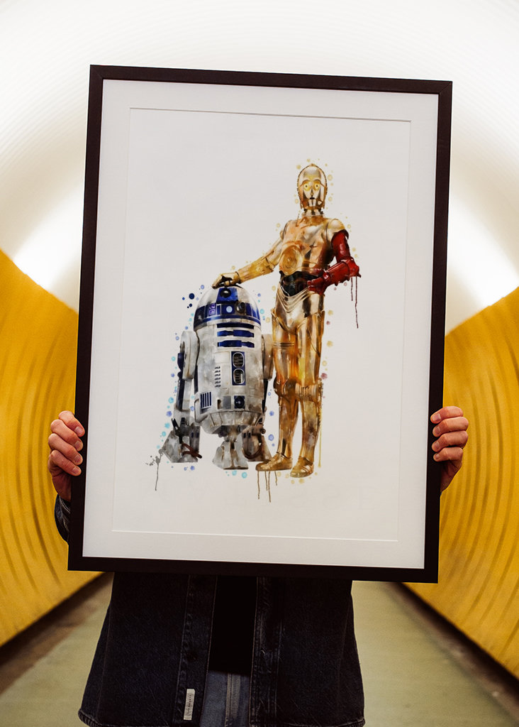 C3-PO and R2-D2