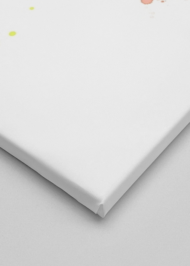 Gdzie jest Nemo Dory