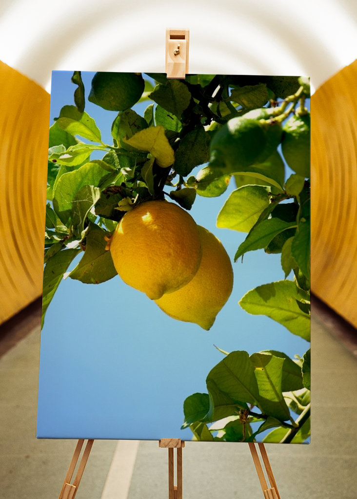 Lemons from the Algarve
