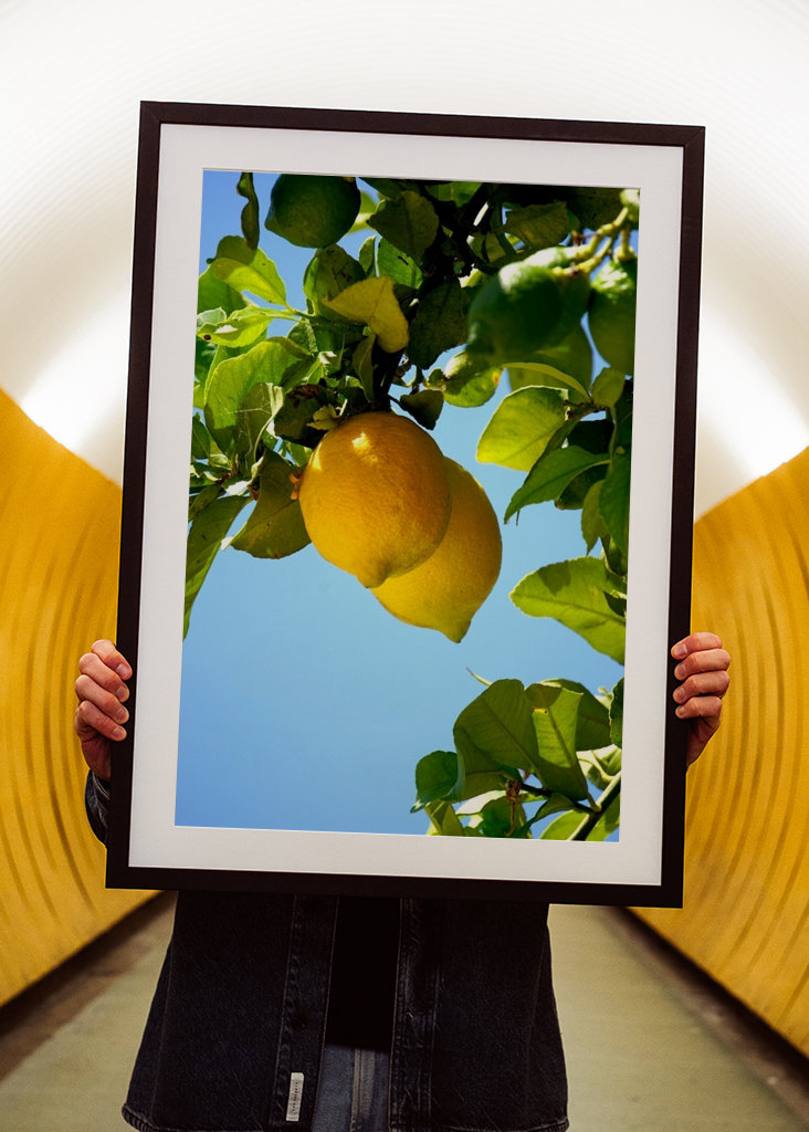 Lemons from the Algarve