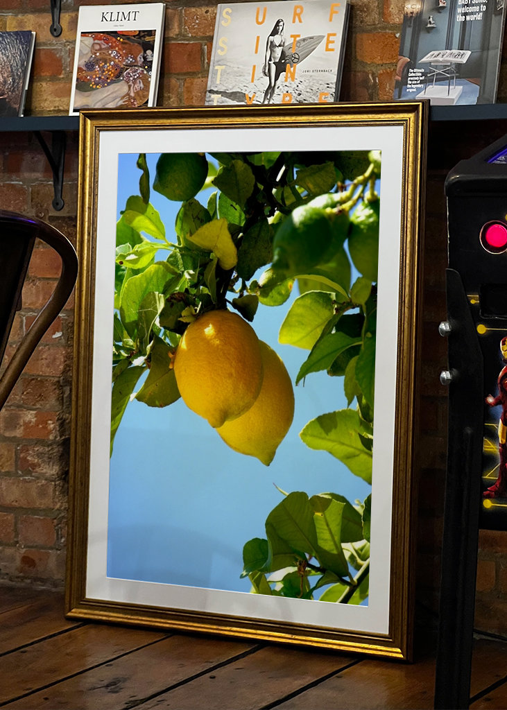 Lemons from the Algarve