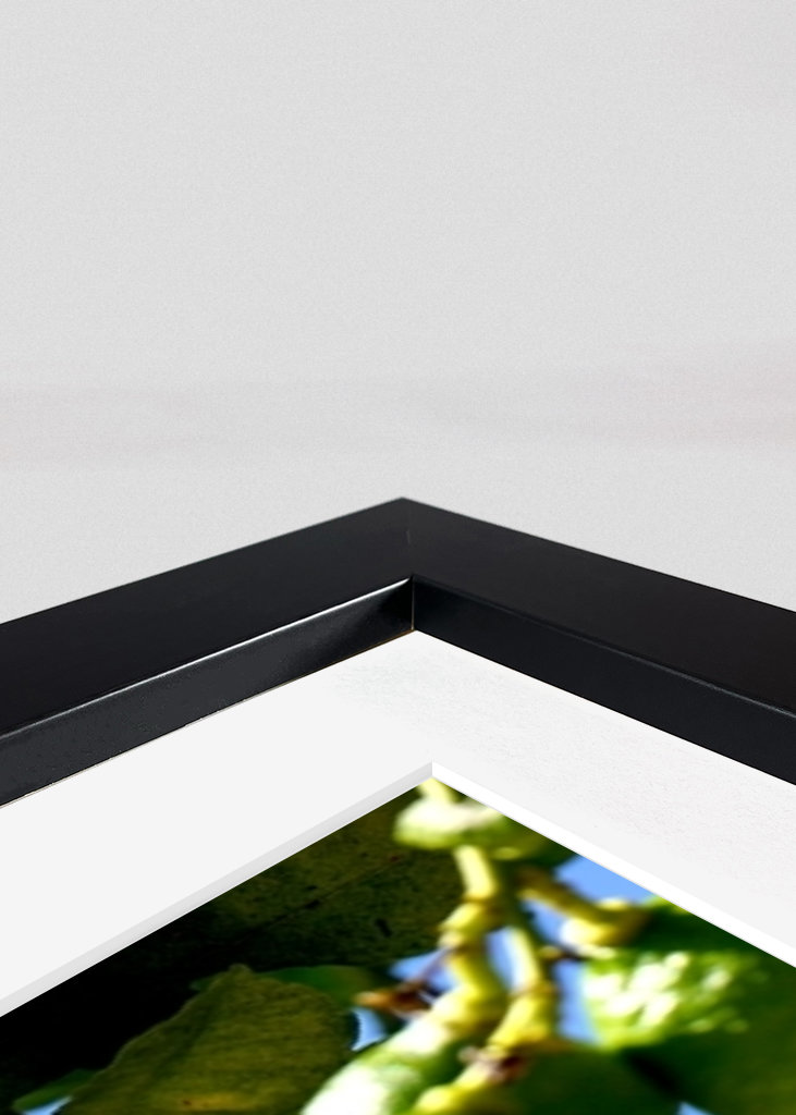 Lemons from the Algarve