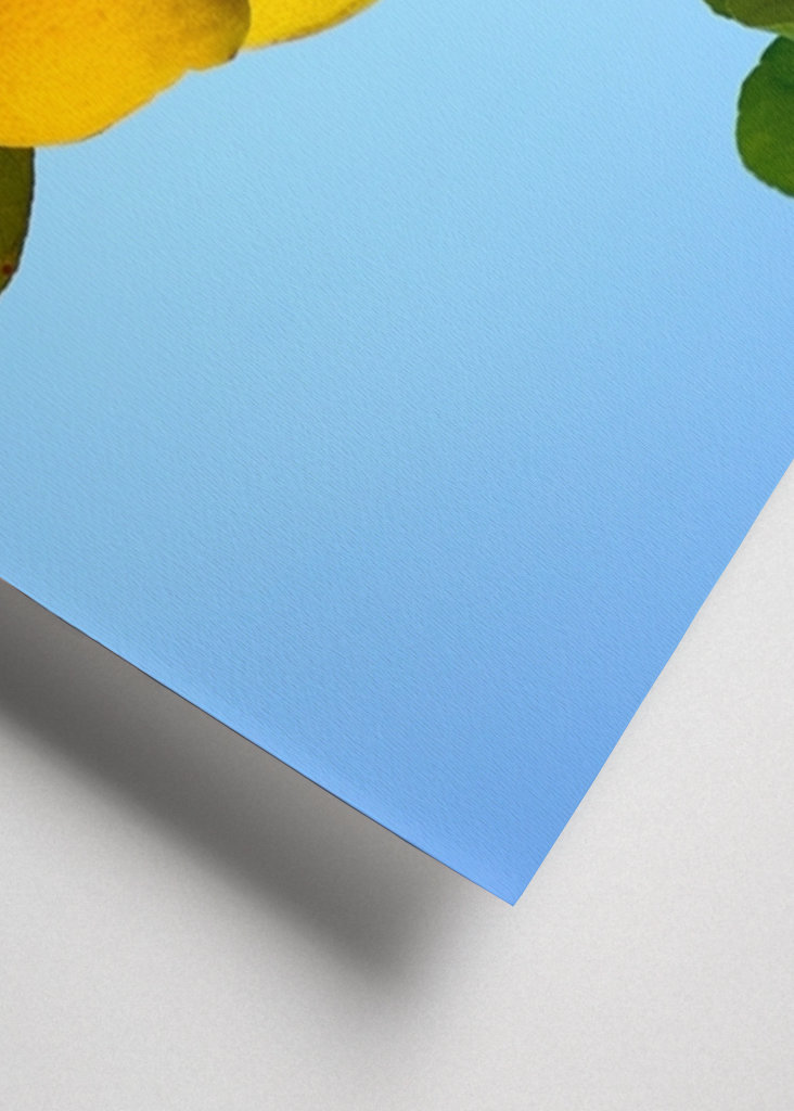 Lemons from the Algarve