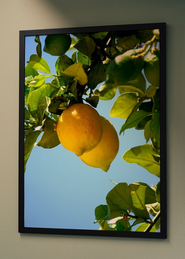 Lemons from the Algarve