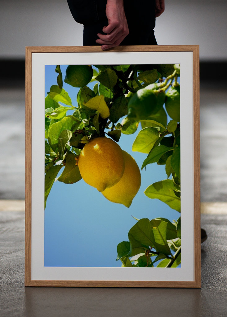 Lemons from the Algarve