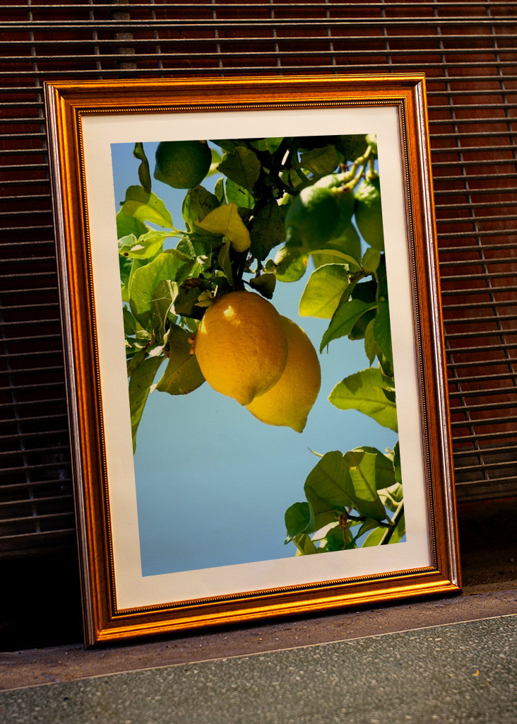 Lemons from the Algarve