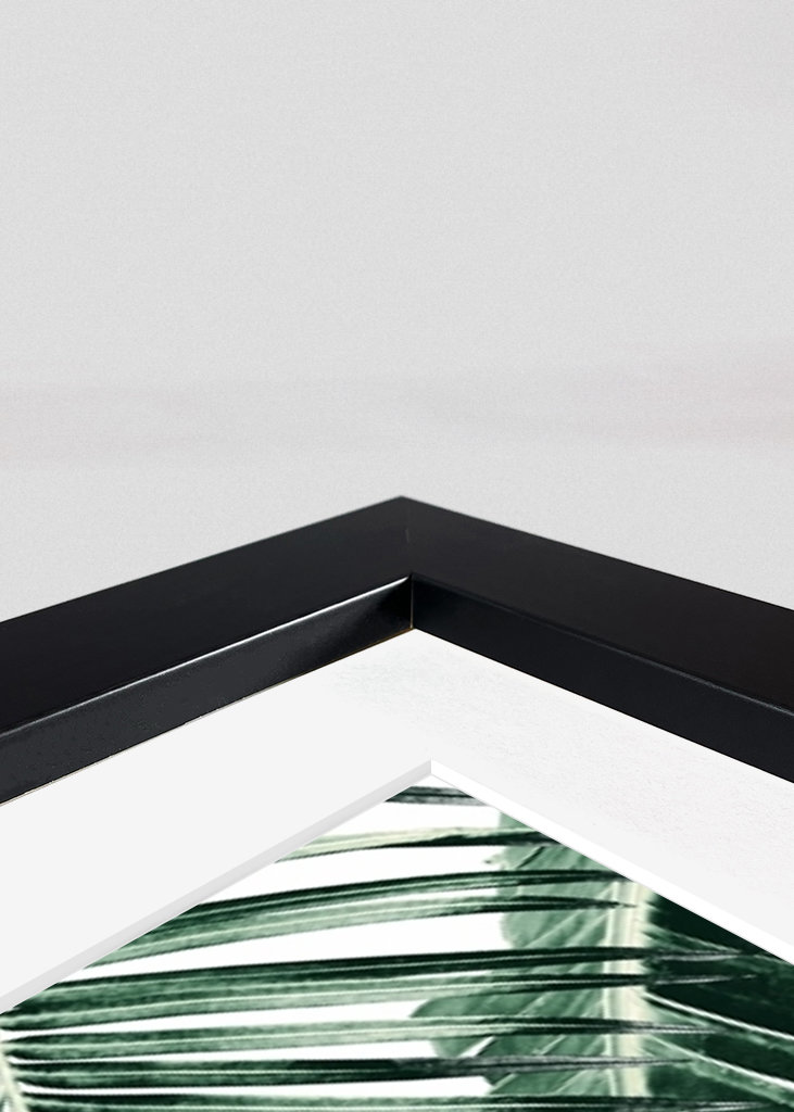 Tropical Jungle Leaves Dream 