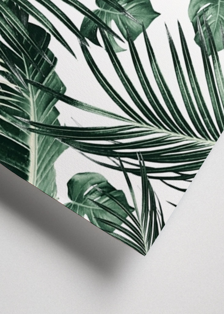 Tropical Jungle Leaves Dream 