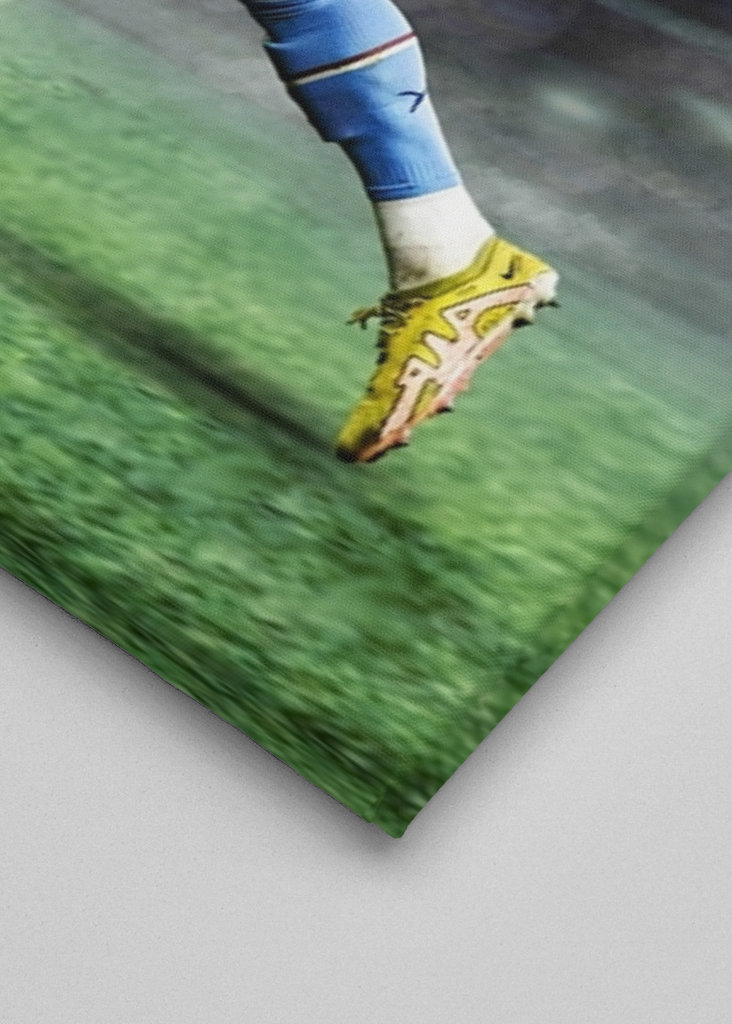 Erling Braut Haaland Potrait