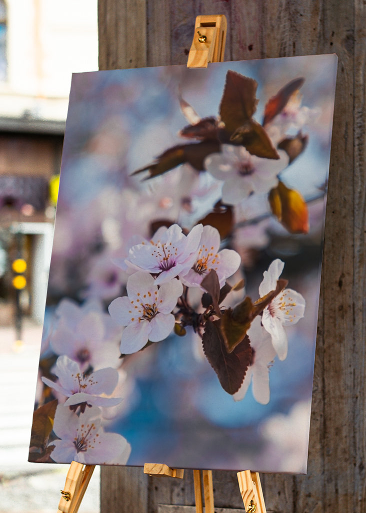 🌸Vårblomster🌸