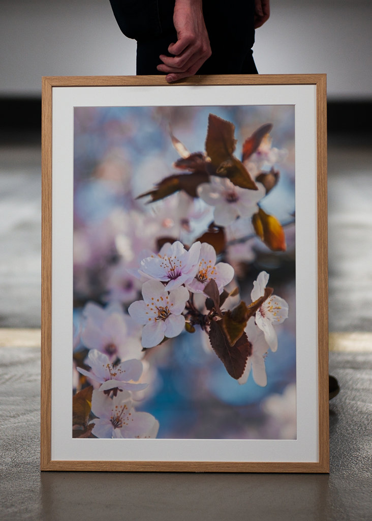 🌸Vårblomster🌸