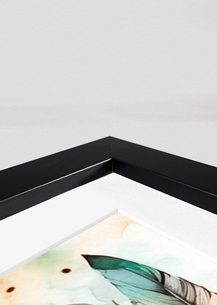 The colorful feather Flowers