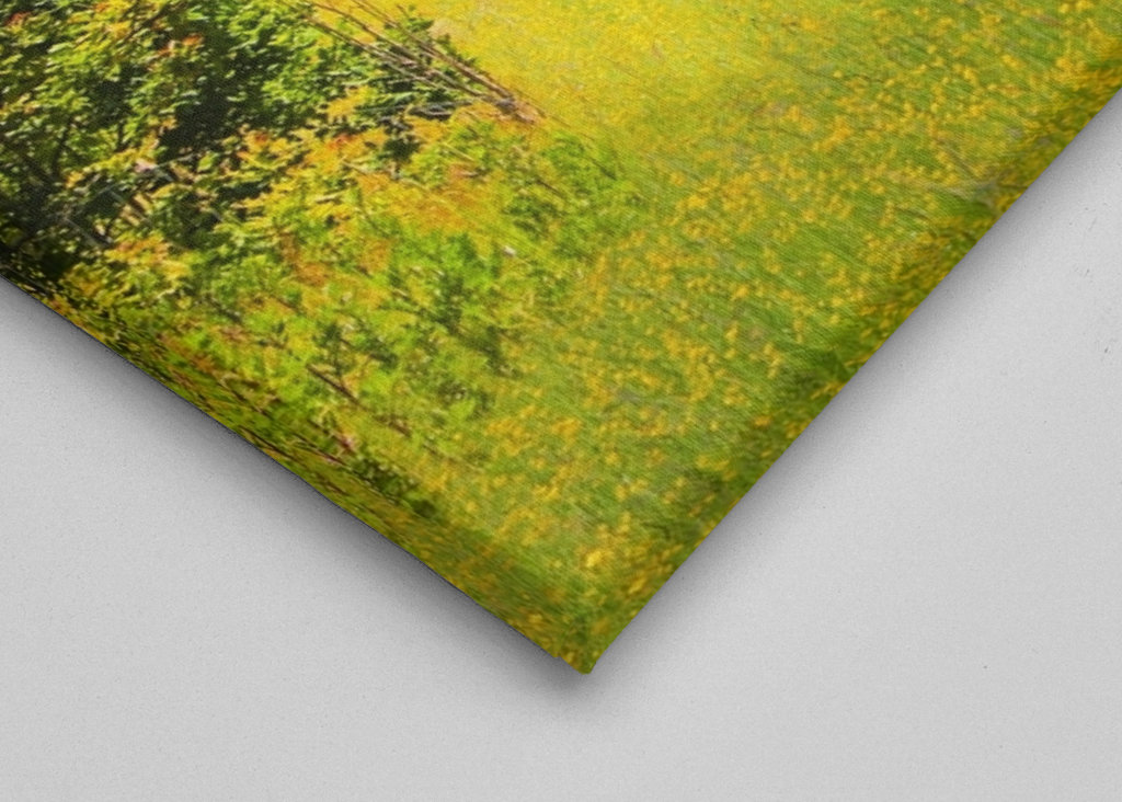 Letní pole s jahodami 