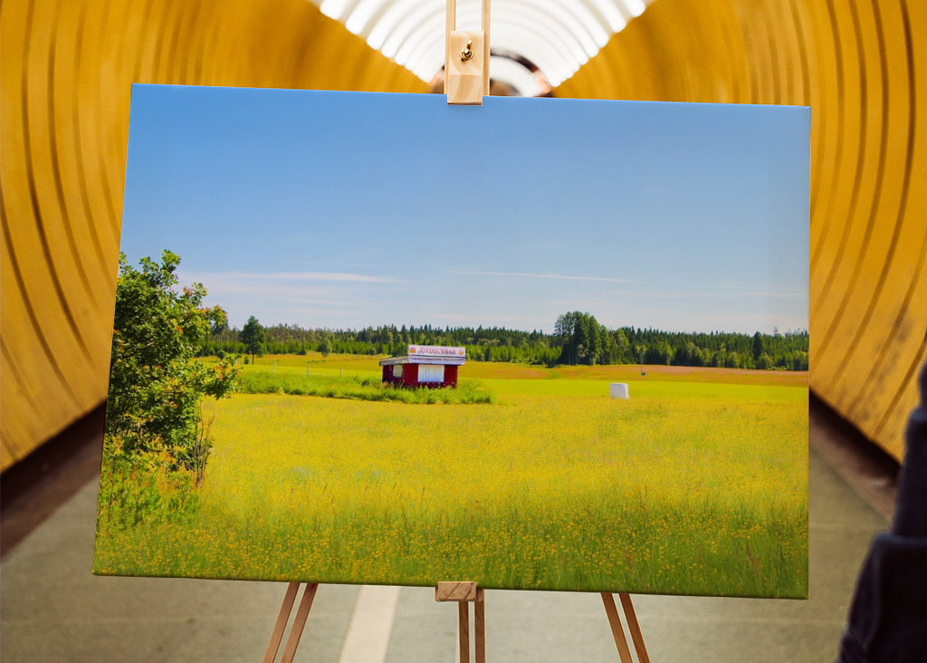 Letní pole s jahodami 